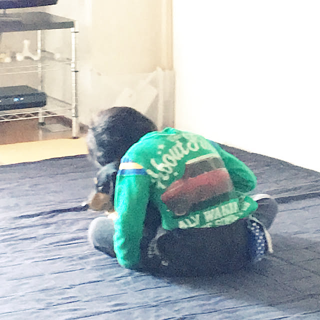 ohanaさんの実例写真