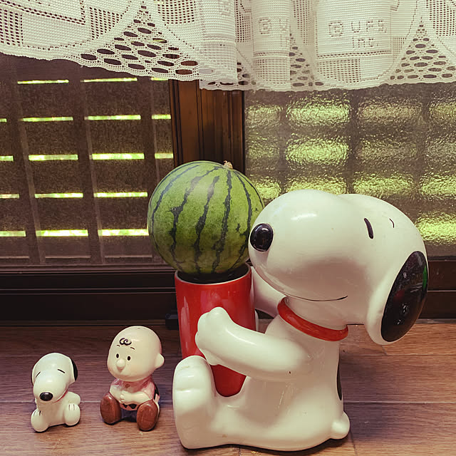 sa-riさんの実例写真