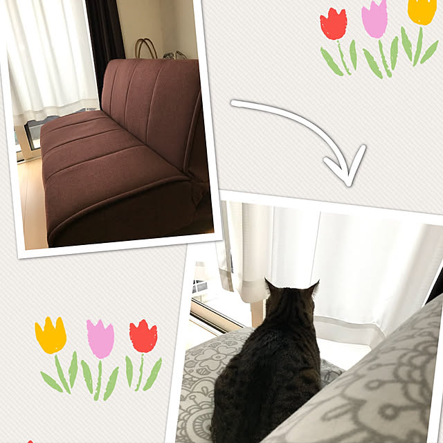 m.and.mさんの実例写真