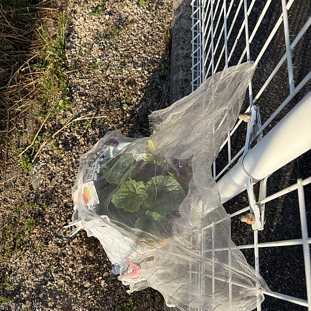 ritsukoさんの部屋