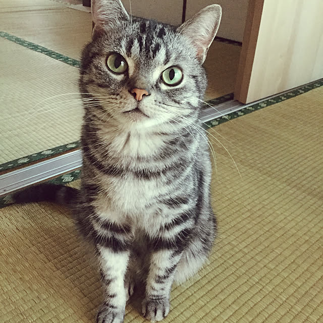 richanさんの実例写真