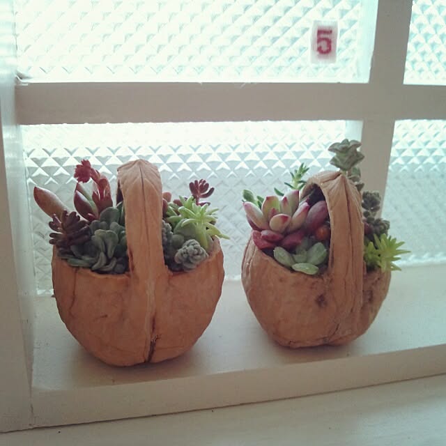 kokkomachaさんの実例写真