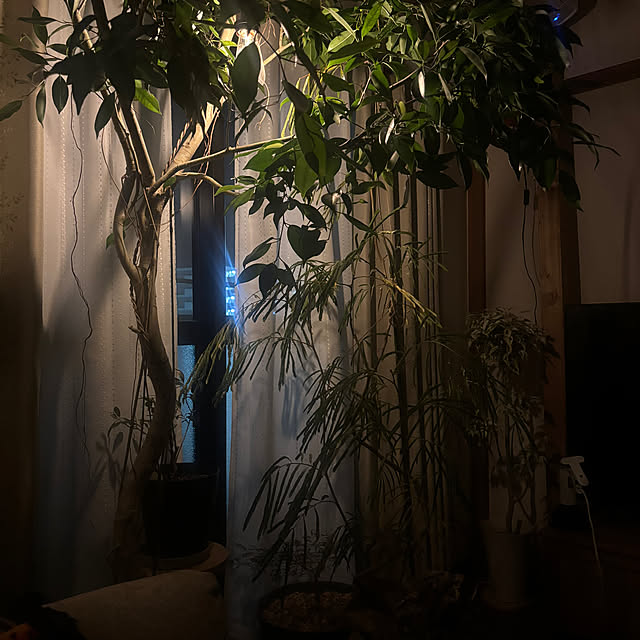 R-Toneさんの部屋