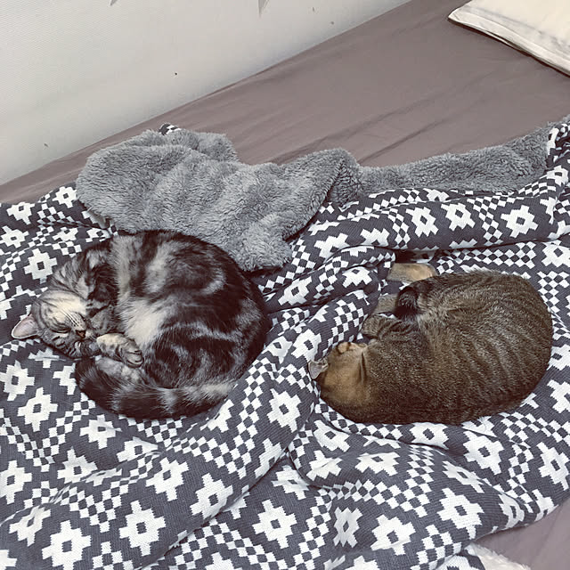 mikomaruさんの実例写真