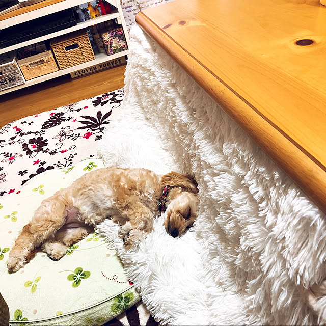 hama1219さんの実例写真