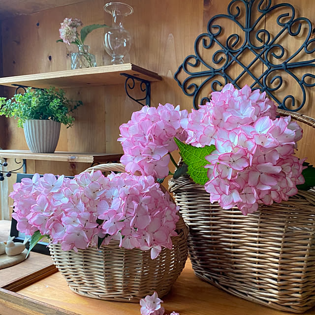 mintteaさんの部屋