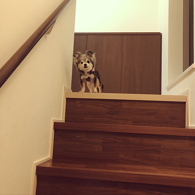 Marieさんの実例写真