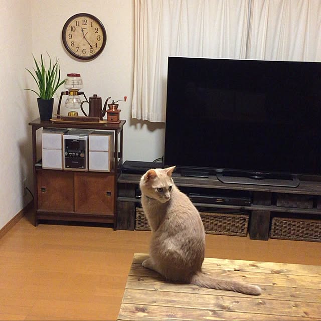 mikan161さんの実例写真