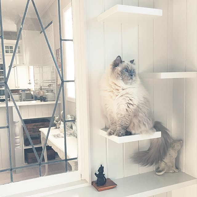 yuchiさんの実例写真