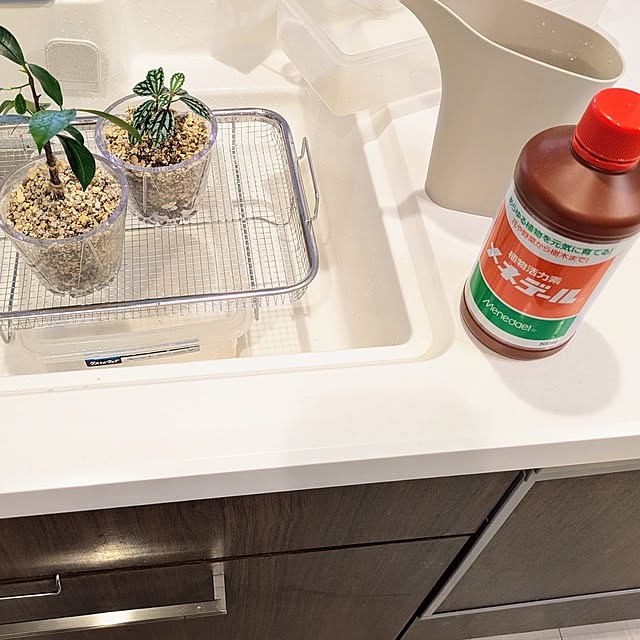 mi-saさんの部屋