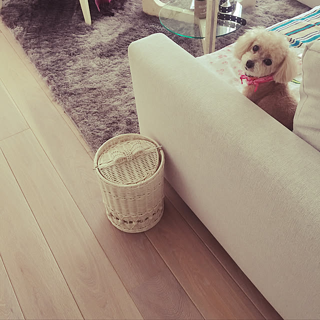 MAKARONさんの実例写真