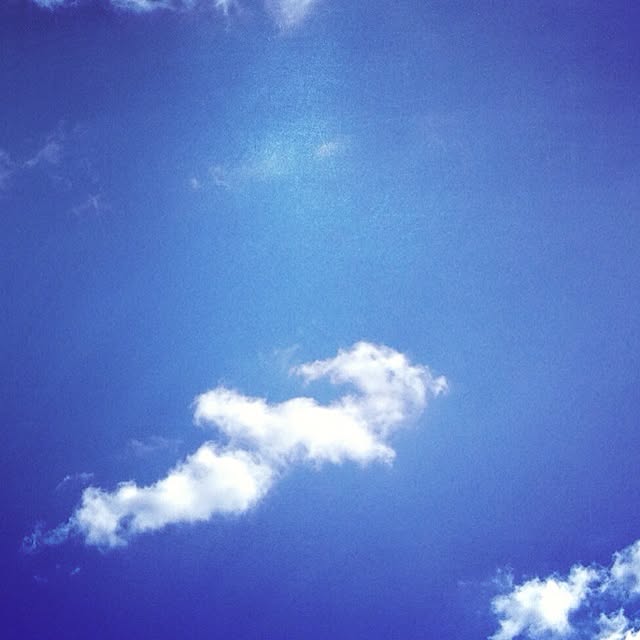 Akikoさんの実例写真