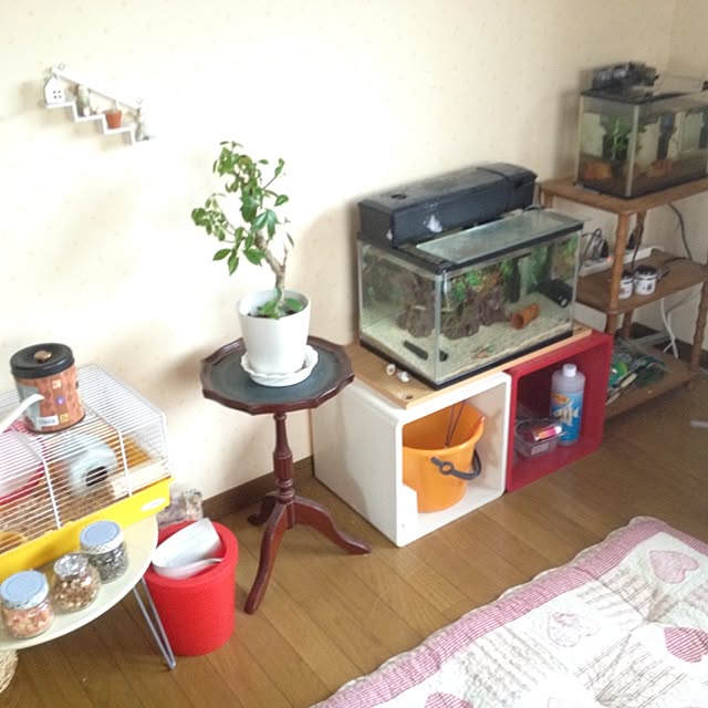 aifnnnさんの実例写真