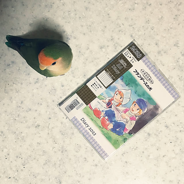 aoinokimiさんの実例写真