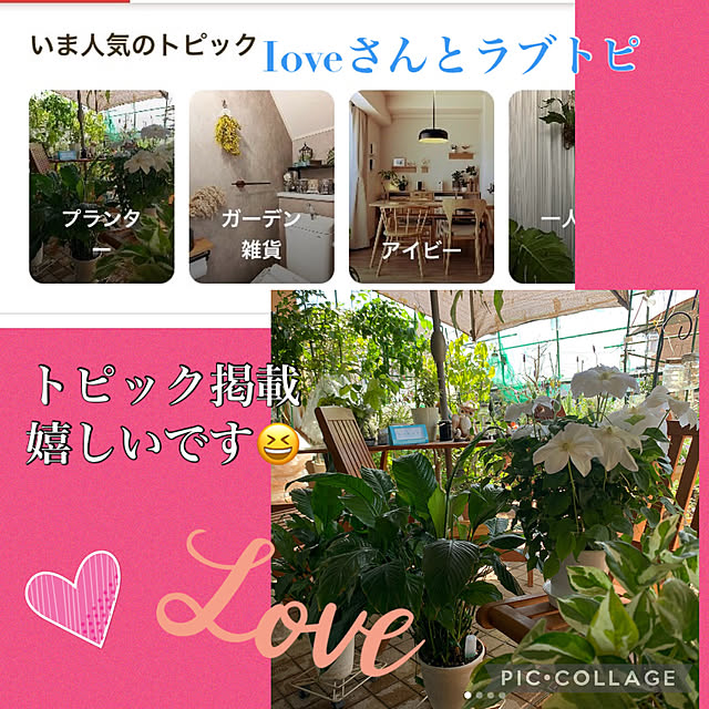 Aqettyさんの部屋