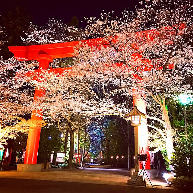 実例写真