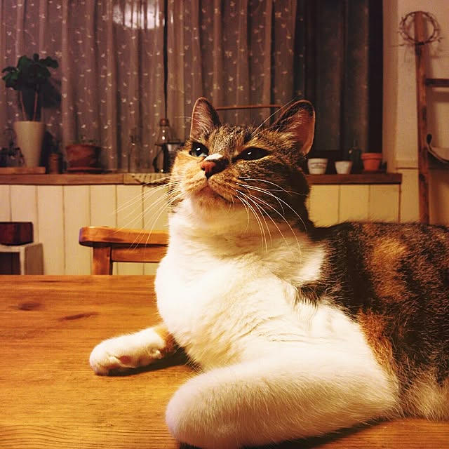 tomo1220さんの実例写真