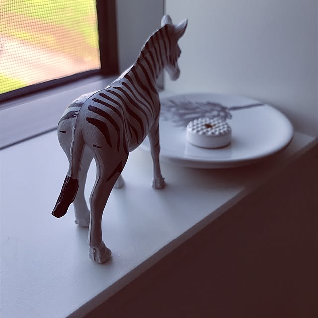 riakanaさんの実例写真
