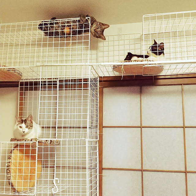 Mikaさんの実例写真