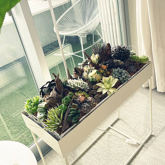 nanakoさんの実例写真