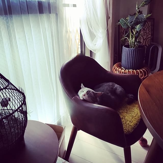 Yoko622さんの実例写真