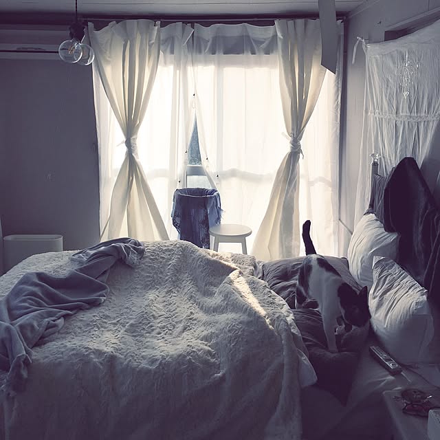 Shihoさんの実例写真