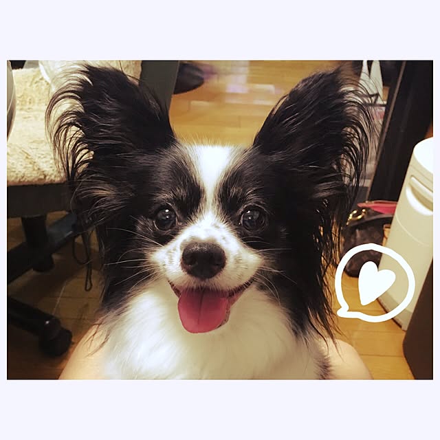mikaさんの実例写真