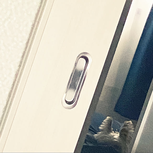 ohanaさんの実例写真