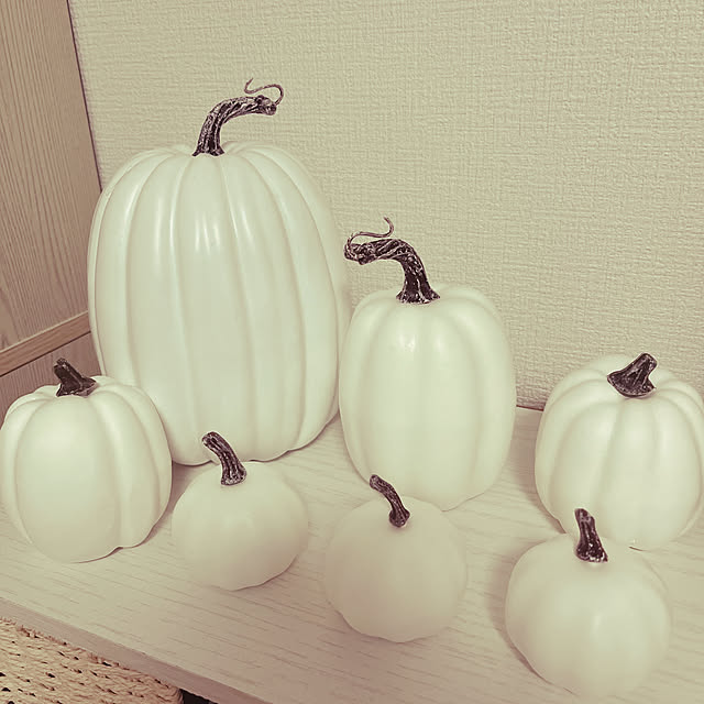 satonoriさんの実例写真