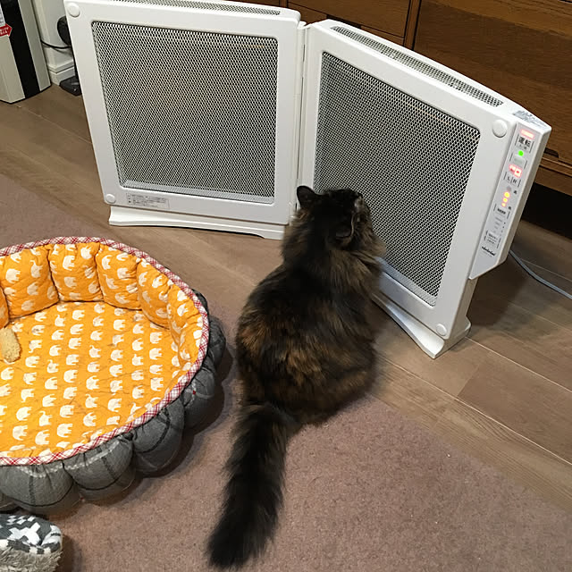 mikomaruさんの実例写真
