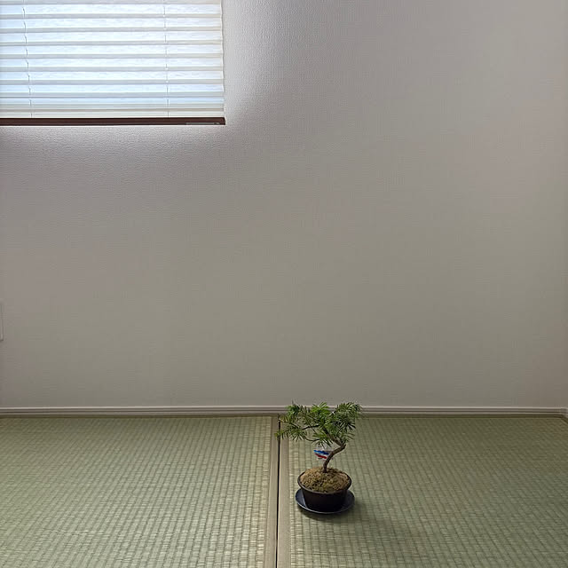 mikeさんの部屋