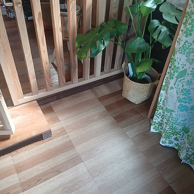 murasaki808さんの部屋