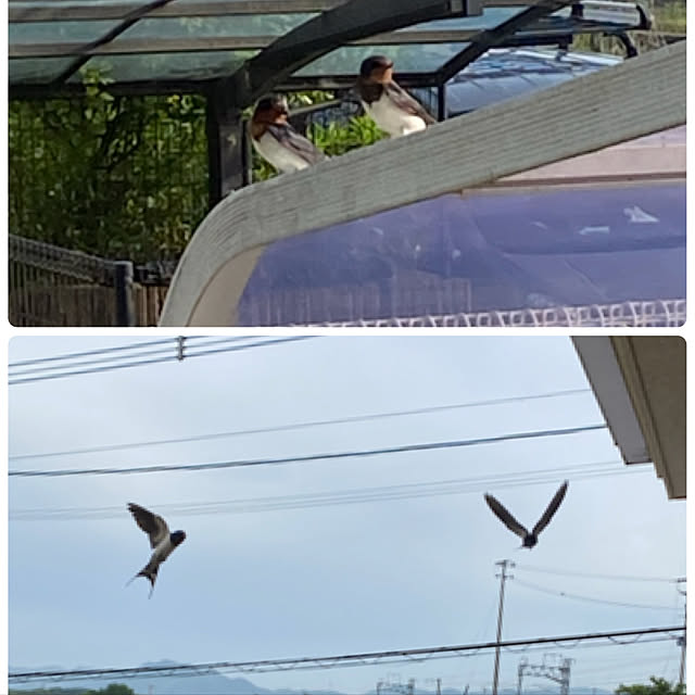 chIoeさんの実例写真