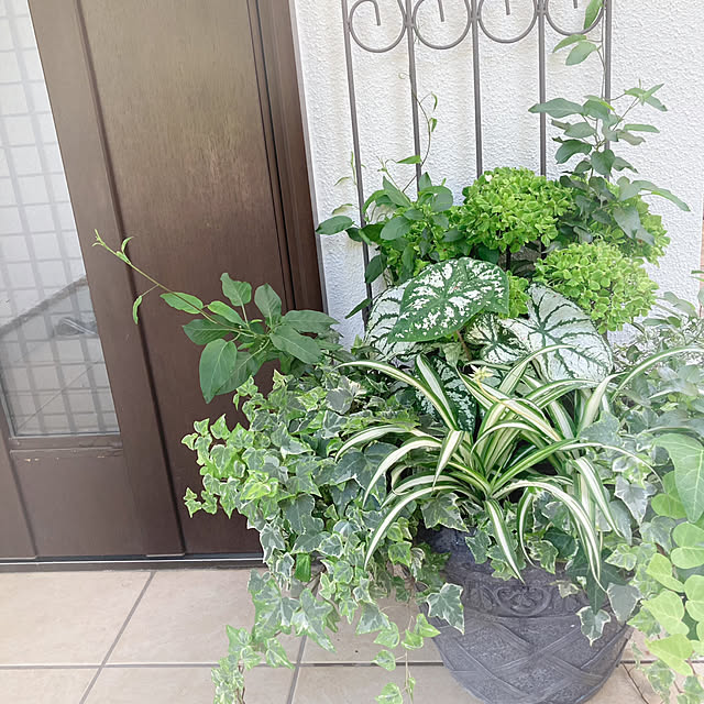 soraさんの部屋