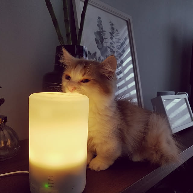 harrypon_mさんの実例写真