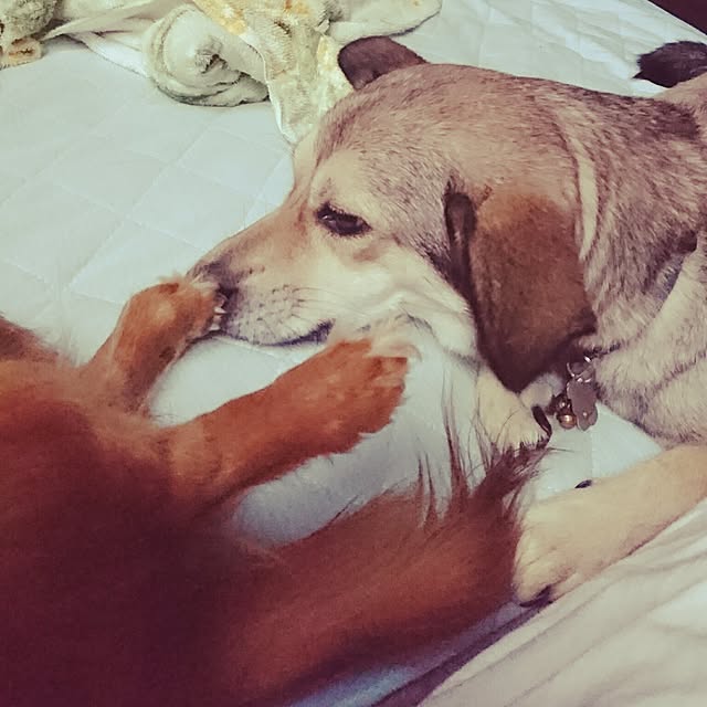 andさんの実例写真