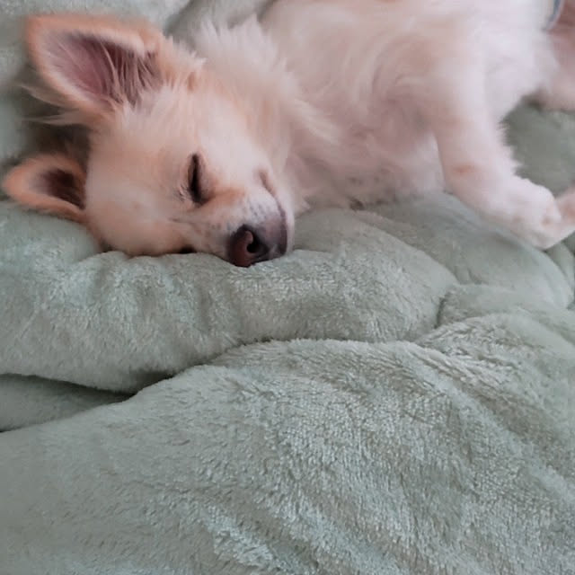 PAOさんの実例写真