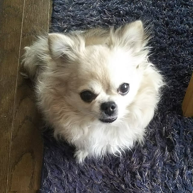 kiraさんの実例写真