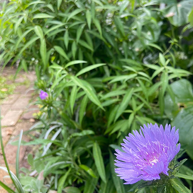na-chanさんの部屋