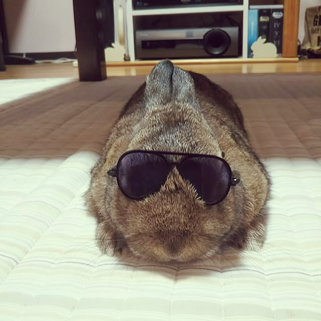 yuzu0223さんの実例写真