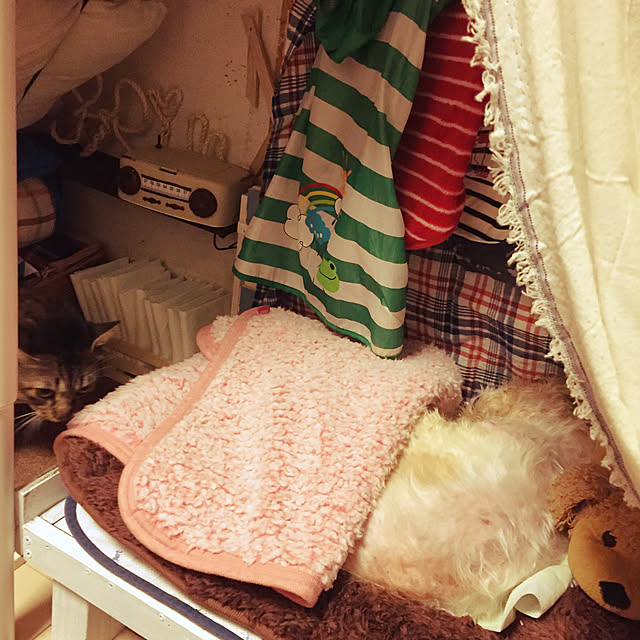 oniyomeさんの実例写真