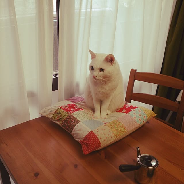 amifuuさんの実例写真