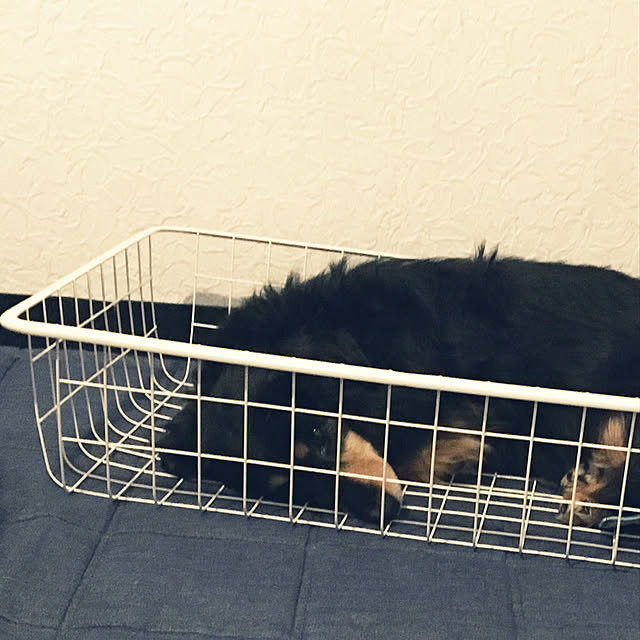 ohanaさんの実例写真