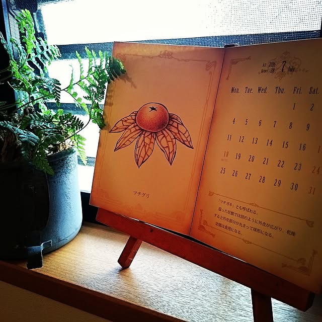 socket325さんの実例写真