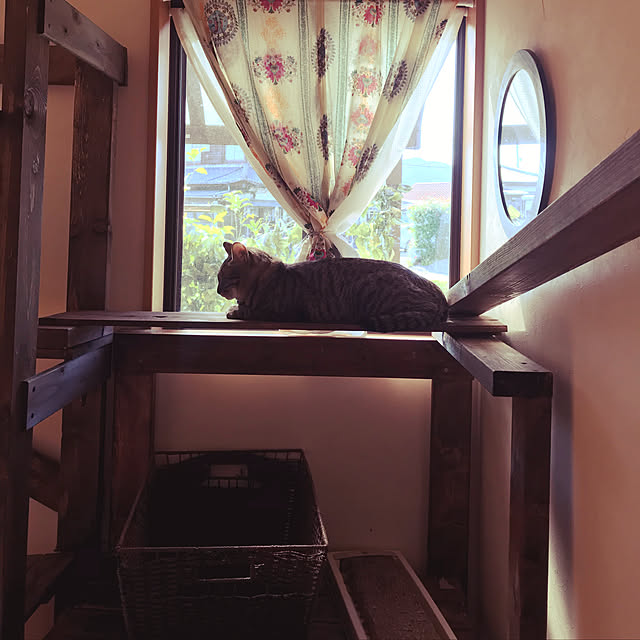 mikan161さんの実例写真