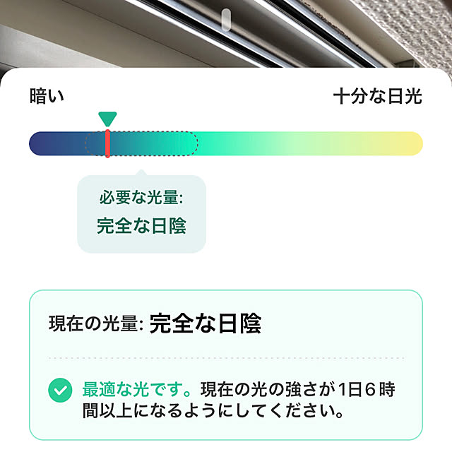 mochi2usagiさんの部屋