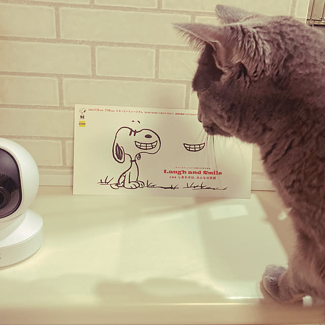 snoopyさんの実例写真