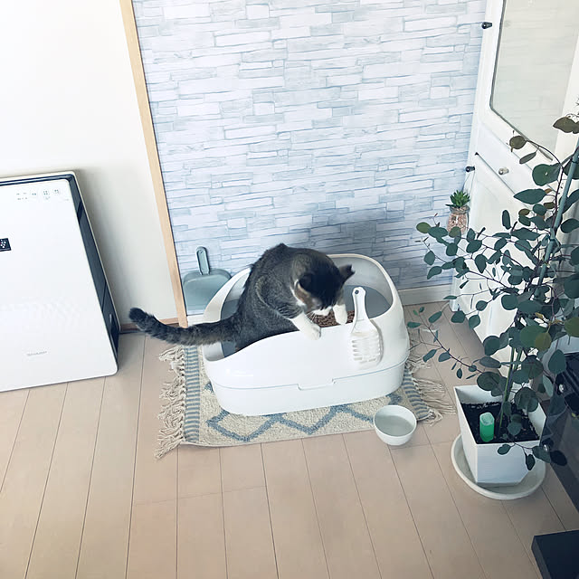 nekomiさんの実例写真