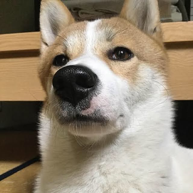 tsuyopipさんの実例写真