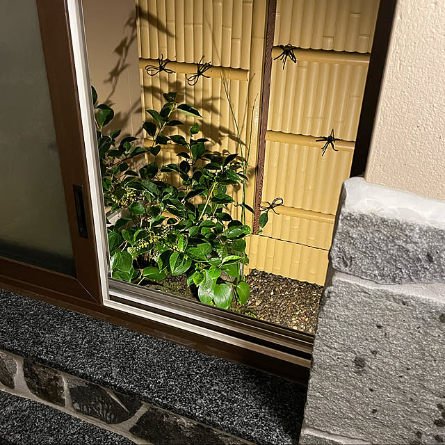 yuriireeenさんの実例写真